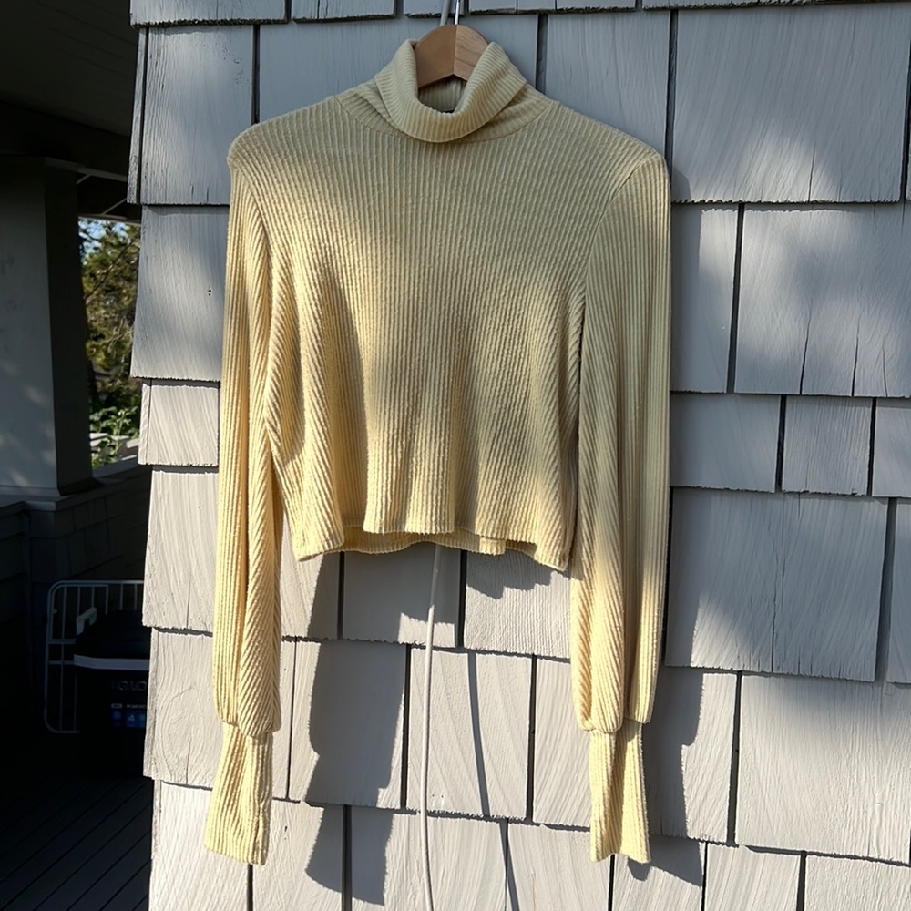 Crop Turtleneck Sweater